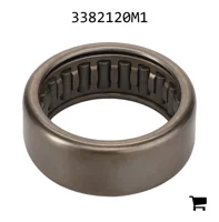 AGCO 3382120M1 Игольчатый подшипник