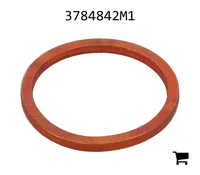 AGCO 3784842M1 Прокладка