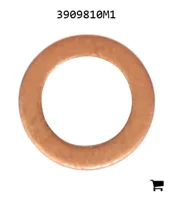 AGCO 3909810M1 Шайба