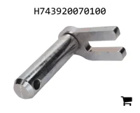 AGCO H743920070100 Болт