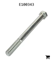 AGCO E100343 Болт