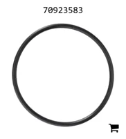 AGCO 70923583 Уплотнительное кольцо