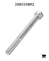 AGCO 3905598M1 Болт