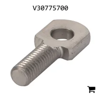 AGCO V30775700 Винт