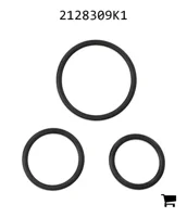 AGCO 2128309K1 Комплект уплотнений