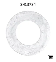 AGCO SN13784 Шайба