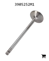 AGCO 3905252M1 Впускной клапан