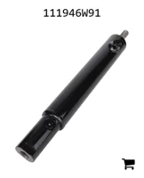 AGCO 111946W91 Цилиндр