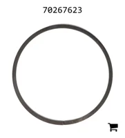 AGCO 70267623 Кольцо