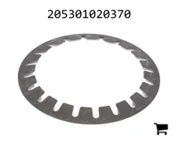 AGCO 205301020370 Шайба