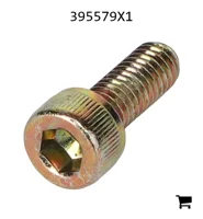 AGCO 395579X1 Винт с цилиндрической головкой и шестигранным углублением