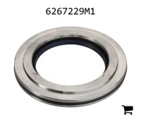 AGCO 6267229M1 Сальник