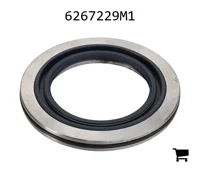 AGCO 6267229M1 Сальник