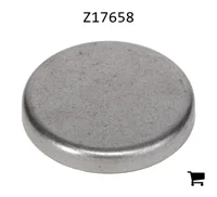 AGCO Z17658 Заглушка