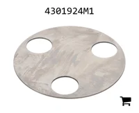 AGCO 4301924M1 Шайба