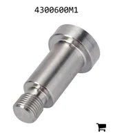 AGCO 4300600M1 Палец вилки