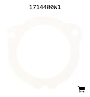 AGCO 1714400W1 Шайба