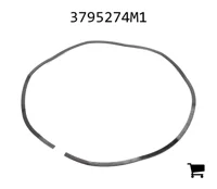 AGCO 3795274M1 Пружина