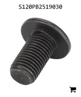 AGCO S120PB2519030 Винт