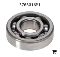 AGCO 3703016M1 Шариковый подшипник