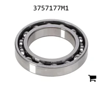 AGCO 3757177M1 Шариковый подшипник