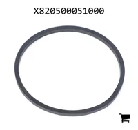 AGCO X820500051000 Уплотнительная шайба масляного бака