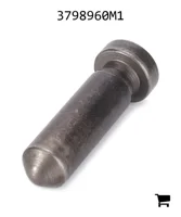 AGCO 3798960M1 Плунжер