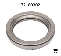 AGCO 72160302 Поршень