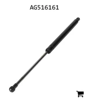 AGCO AG516161 Пружина