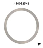 AGCO 4300025M1 Регулировочная шайба