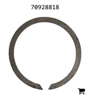 AGCO 70928818 Кольцо