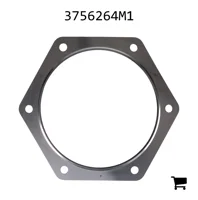 AGCO 3756264M1 Прокладка