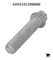 AGCO X499341500000 Винт