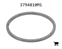 AGCO 3794810M1 Сегмент, Ø 39,39/39,49 мм