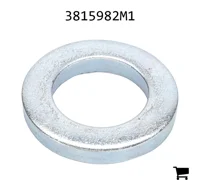AGCO 3815982M1 Шайба