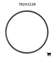 AGCO 70243220 Кольцо
