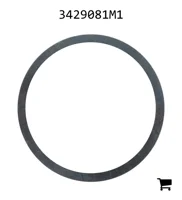AGCO 3429081M1 Шайба