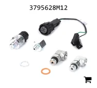 AGCO 3795628M12 Соединительный комплект