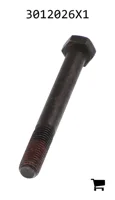 AGCO 3012026X1 Болт с шестигранной головкой