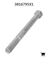 AGCO 3016795X1 Болт с шестигранной головкой