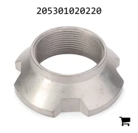 AGCO 205301020220 Гайка