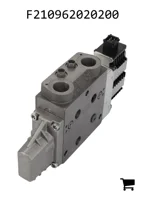 AGCO F210962020200 Направляющий клапан
