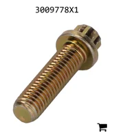 AGCO 3009778X1 Винт с 12-гранной головкой с фланцем