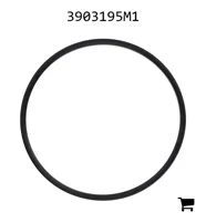 AGCO 3903195M1 Уплотнительное кольцо гидравлического фильтра мокрого сцепления