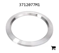 AGCO 3712077M1 Упорная шайба