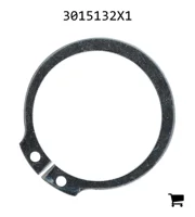 AGCO 3015132X1 Стопорное кольцо