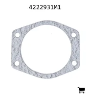 AGCO 4222931M1 Шарнир