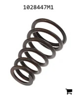 AGCO 1028447M1 Пружина