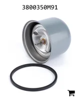AGCO 3800350M91 Гидравлический масляный фильтр