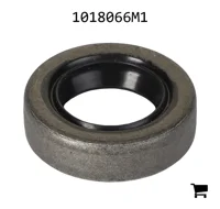 AGCO 1018066M1 Уплотнение
